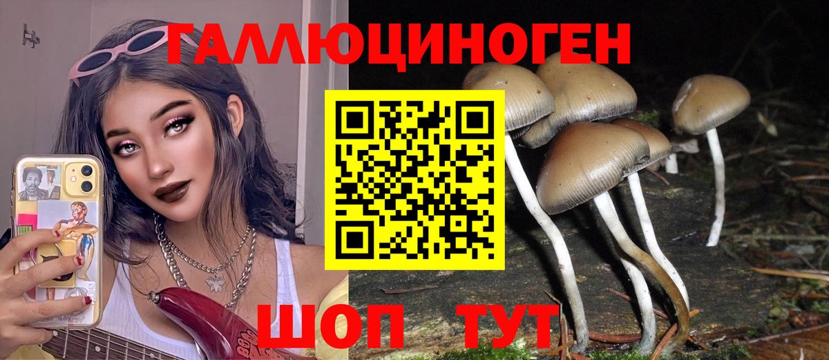 Галлюциногенные грибы Magic Shrooms  Вход с VPN  Чусовой 