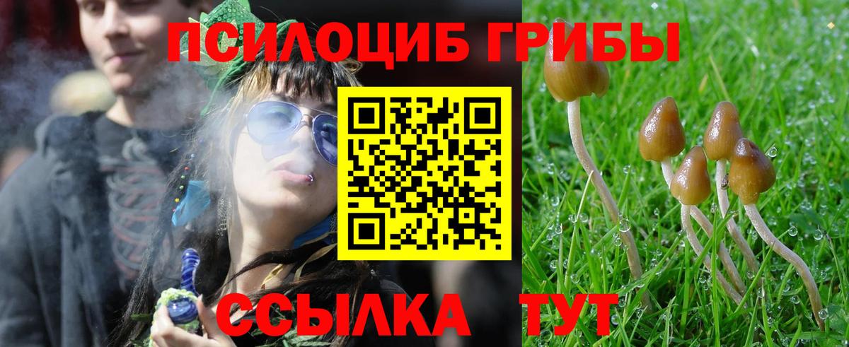 Псилоцибиновые грибы прущие грибы Чусовой